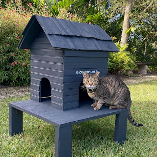 Buy Pet Essentials Online at StriWears Pet Shop